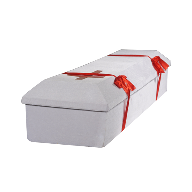 Cardboard Casket & Coffin