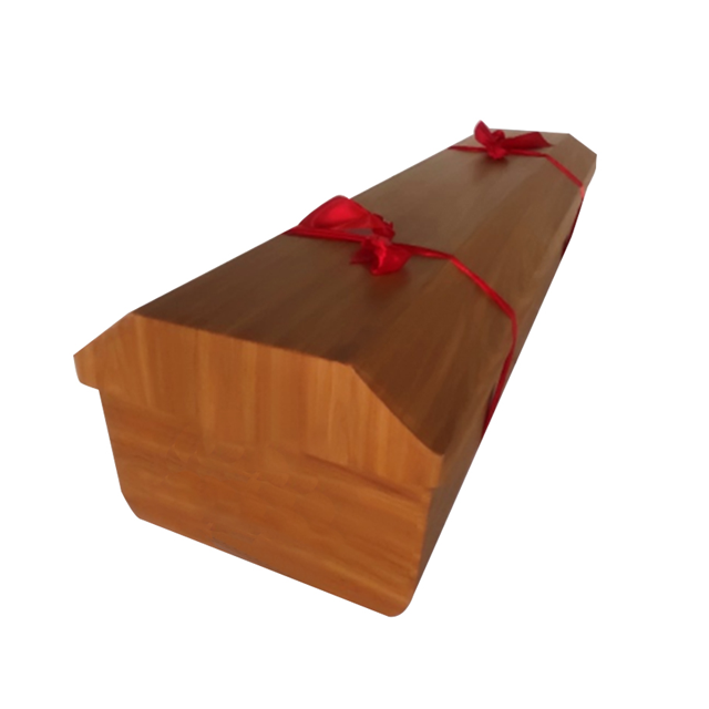 Cardboard Casket & Coffin