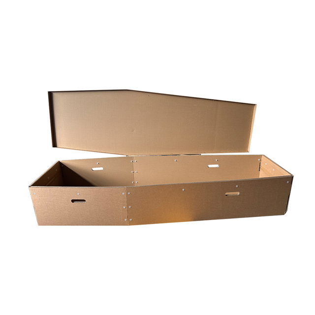 Cardboard Casket & Coffin