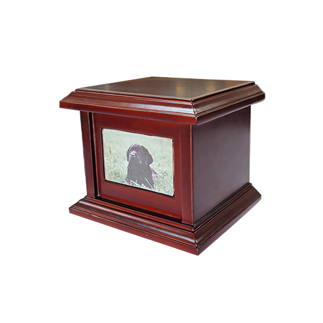 Cremation Ash Urn for Pets