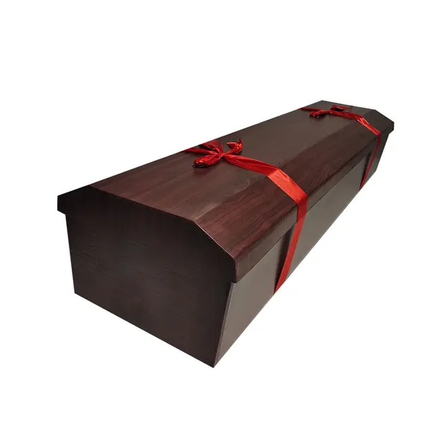 cardboard caskets and coffins